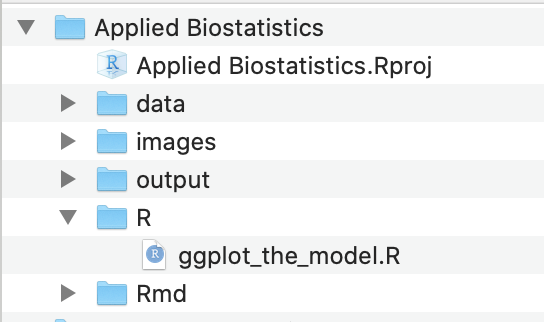 Project folder with the .Rproj file and all main folders located at the first level of the project