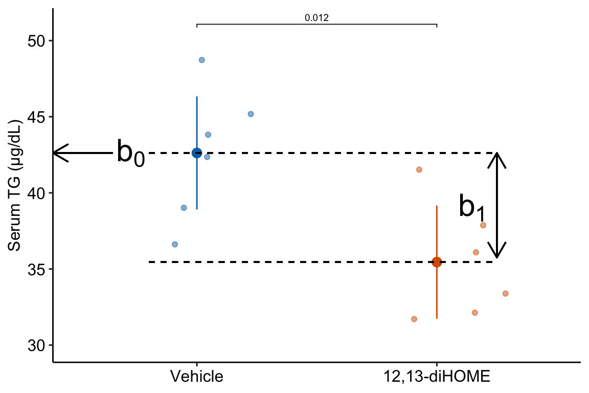 What the coefficients of a linear model with a single categorical X mean. The means of the two treatment levels for the serum TG data are shown with the large, filled circles and the dashed lines. The intercept ($b_0$) is the mean of the reference treatment level ("Vehicle"). The coefficient $b_1$ is the difference between the treatment level's mean and the reference mean. As with a linear model with a continuous $X$, the coefficient $b_1$ is an effect.